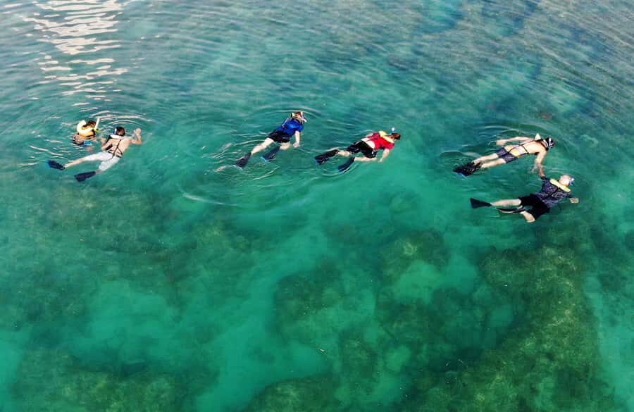 Key West: Reef Snorkel Morning Tour with Breakfast & Mimosas - What it’s really like in the water (and why some days feel busier)