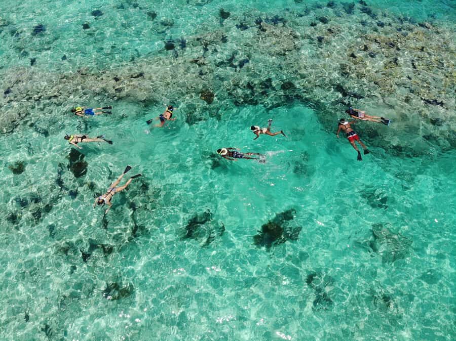 Key West: Reef Snorkel Morning Tour with Breakfast & Mimosas - Breakfast, mimosas, and beer: the drink-and-food reality check