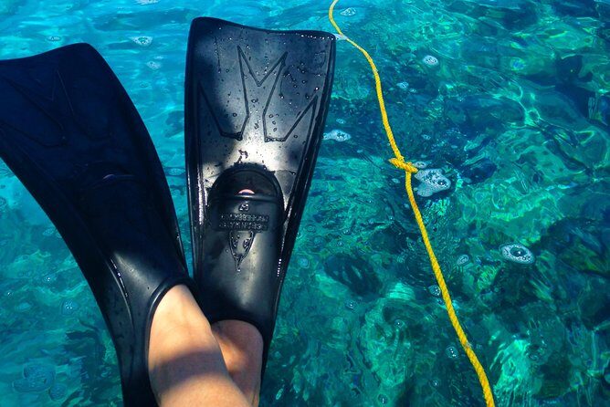Key West Reef Snorkel & Sail Adventure - Why Key West’s reef snorkel feels different than most “see fish” trips