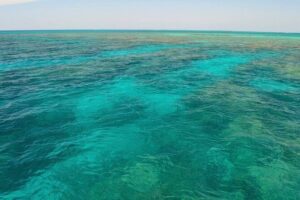 Key West Reef Snorkel & Sail Adventure - Price and value: is $79 a good deal in Key West?