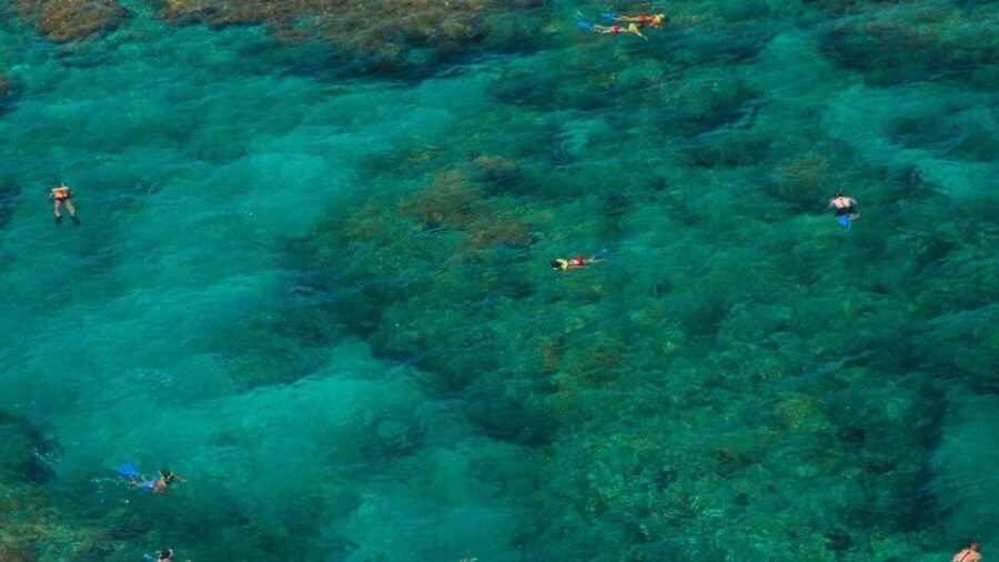 Key West: Reef Snorkeling with Drinks and Sunset Option - Key things to notice before you go