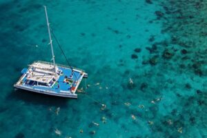 Key West: Reef Snorkeling with Drinks and Sunset Option - The reef part: what you’re really there to see