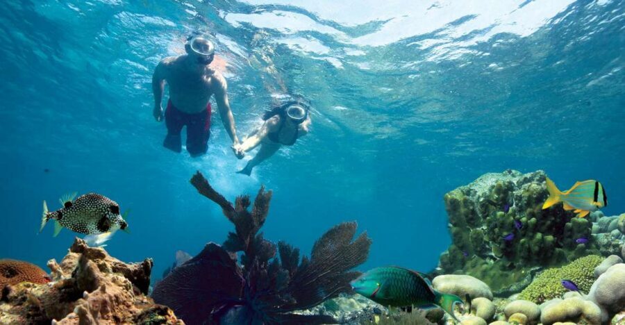 Key West: Reef Snorkeling with Drinks and Sunset Option - Snorkeling gear and instruction: the difference between confused and confident