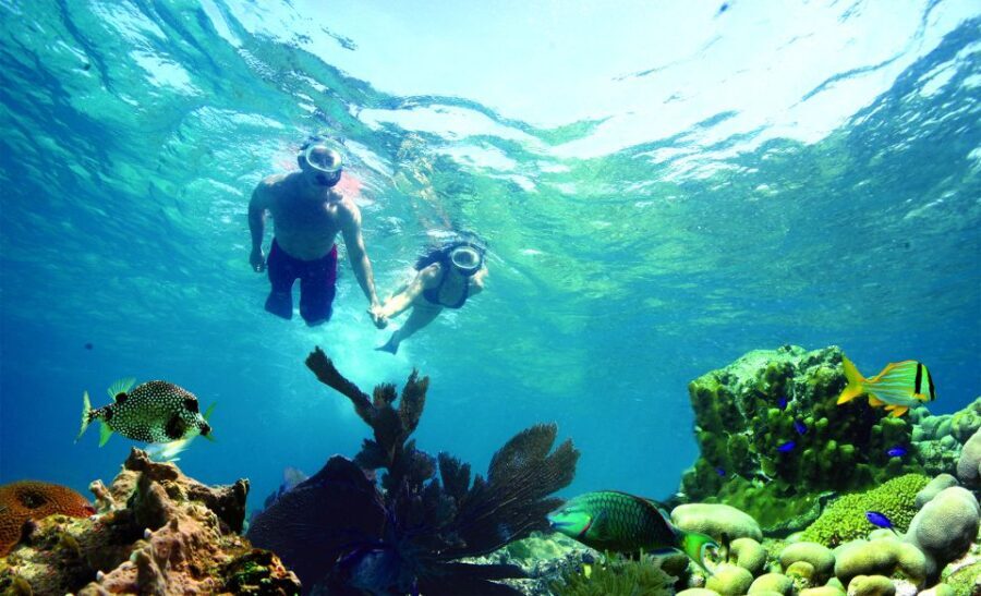 Key West: Reef Snorkeling with Drinks and Sunset Option - Who should book (and who should skip)