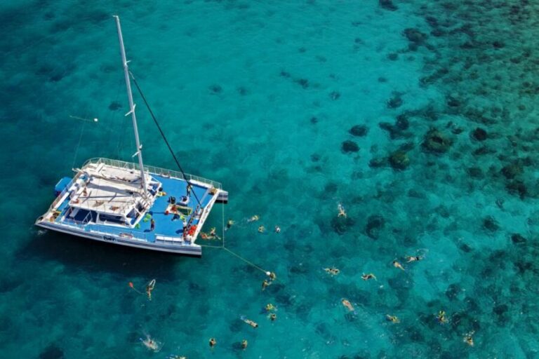 Key West: Reef Snorkeling with Drinks and Sunset Option - The reef part: what you’re really there to see