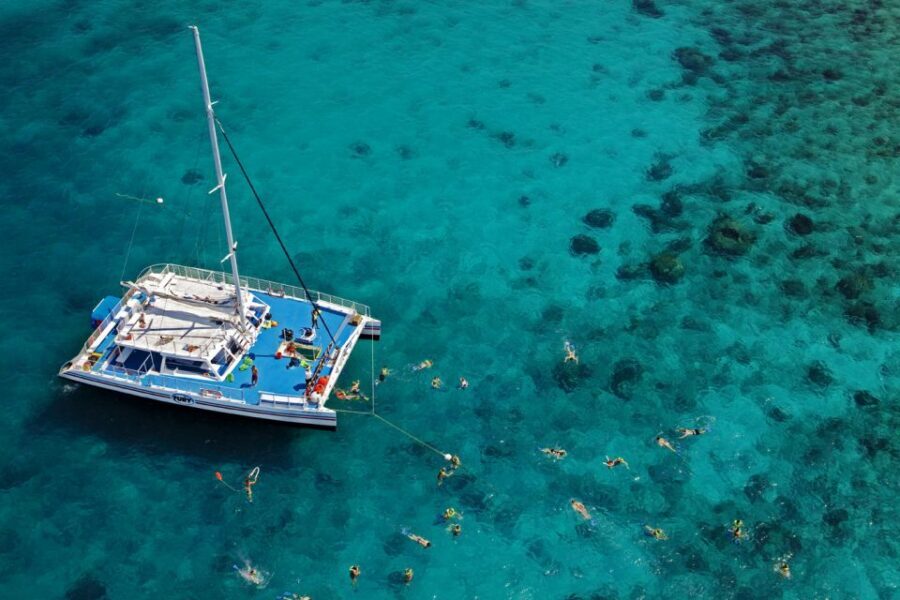 Key West: Reef Snorkeling with Drinks and Sunset Option - The reef part: what you’re really there to see