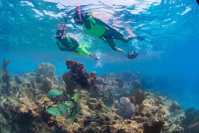 Key West Rum and Reggae: Reef Snorkel Adventure and Sunset Sail - What’s included vs. what you’ll still need to pack