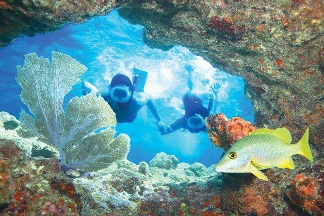Key West Rum and Reggae: Reef Snorkel Adventure and Sunset Sail - Who should book this Key West rum and reggae reef snorkel
