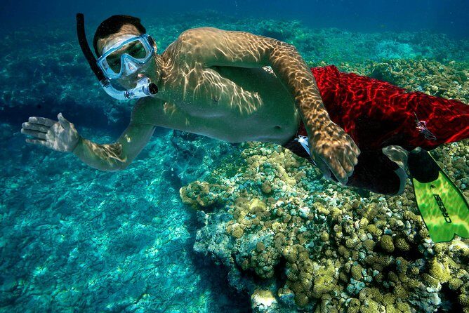 Key West Rum and Reggae: Reef Snorkel Adventure and Sunset Sail - Boat day flow: from check-in briefing to the coral reef