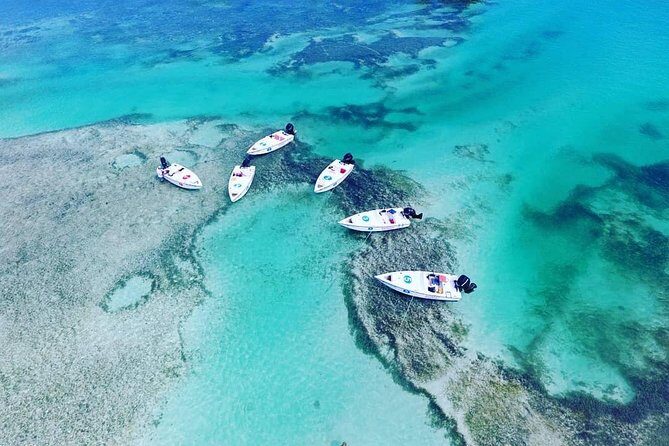 Key West Safari Eco Sandbar Tour Adventure with Snorkeling - Key Points You’ll Feel Right Away