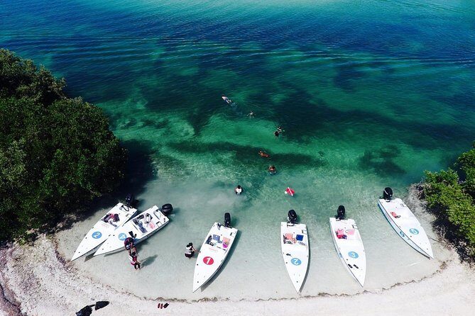 Key West Safari Eco Sandbar Tour Adventure with Snorkeling - Mud Key Safari: What Makes This Tour Different