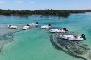 Key West Safari Eco Sandbar Tour Adventure with Snorkeling - Price and Value: Is $197.12 Worth It for Up to Two?