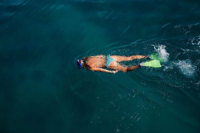 Key West Safari Eco Sandbar Tour Adventure with Snorkeling - Driving Your Own Boat: Fun, Fast, and Still Managed