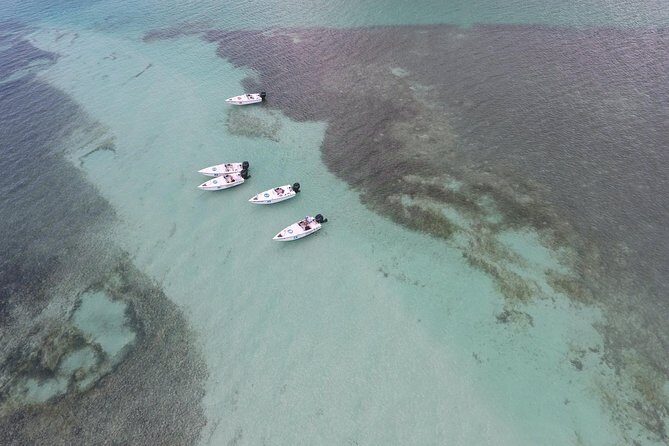 Key West Safari Eco Sandbar Tour Adventure with Snorkeling - Florida Boaters Safety: The Rule That Affects Drivers