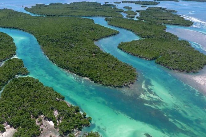 Key West Safari Eco Sandbar Tour Adventure with Snorkeling - Snorkeling at Mud Key: Warm Water, Mixed Visibility