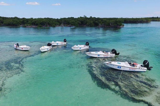 Key West Safari Eco Sandbar Tour Adventure with Snorkeling - Price and Value: Is $197.12 Worth It for Up to Two?