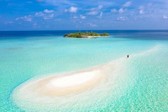 Key West Sandbar Adventure Cruise for All Ages - From Mangroves to the Sandbar: What the Day Feels Like