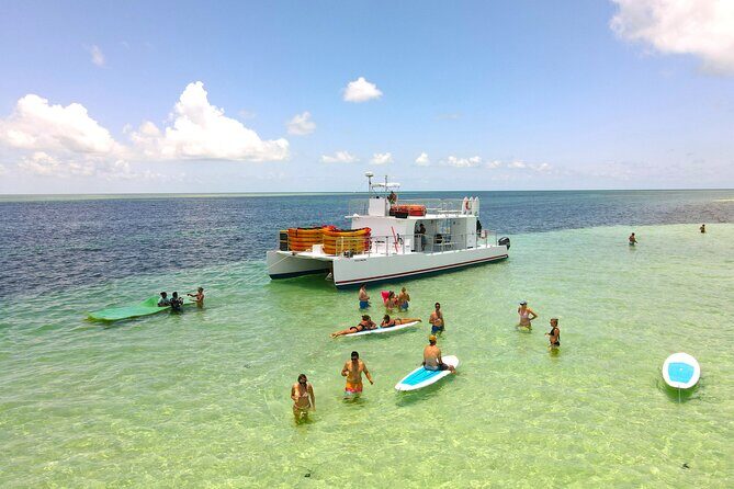 Key West Sandbar Charter With Kayak Tour: Includes Lunch & Drinks - Kayaking the Mud Keys mangroves: guided paddling that works for beginners
