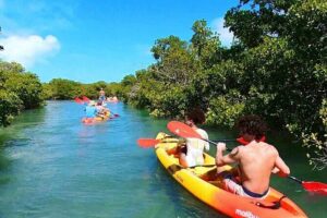 Key West Sandbar Charter With Kayak Tour: Includes Lunch & Drinks - Jewfish Basin sandbar: where the day turns into real vacation mode