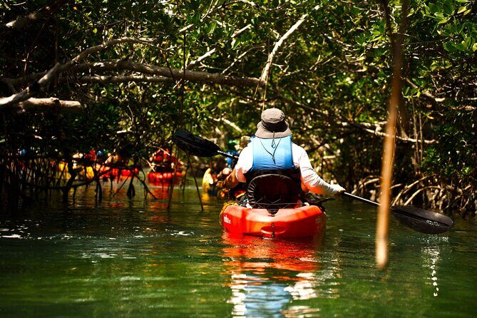 Key West Sandbar Charter With Kayak Tour: Includes Lunch & Drinks - Price and value: what $149.95 buys you in a Key West day