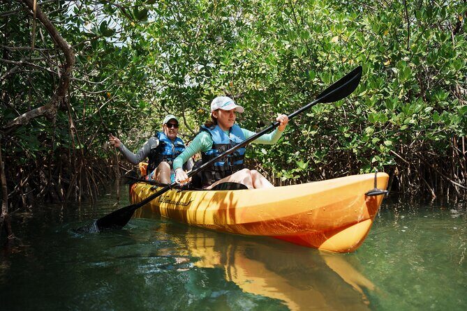 Key West Sandbar Charter With Kayak Tour: Includes Lunch & Drinks - Who should book this and who might not love it