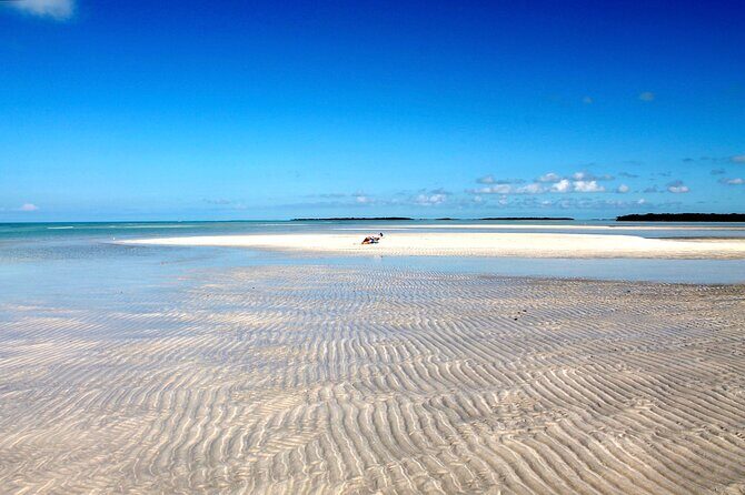 Key west sandbar/eco trip ran by husband and wife naturalist team - Why Key West Sandbars Feel Special on This Charter