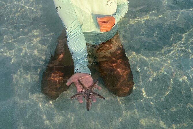 Key west sandbar/eco trip ran by husband and wife naturalist team - Snorkeling Patch Reefs and Secluded Islands (Without the Guesswork)
