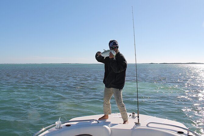 Key west sandbar/eco trip ran by husband and wife naturalist team - Wildlife Spotting: Dolphins, Sea Turtles, Rays, Sharks, and Tarpon