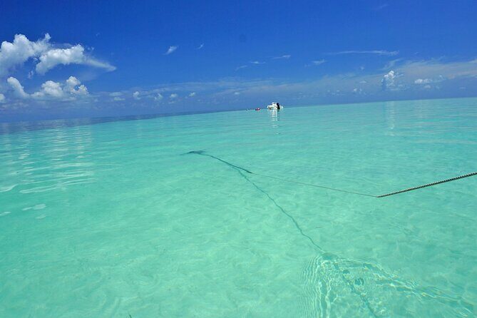 Key West Sandbar Excursion & Island Adventure Cruise - Price, Group Size, and Why This Can Be Good Value