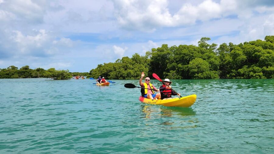 Key West: Sandbar Excursion & Kayak Tour with Lunch & Drinks - Who This Tour Fits Best