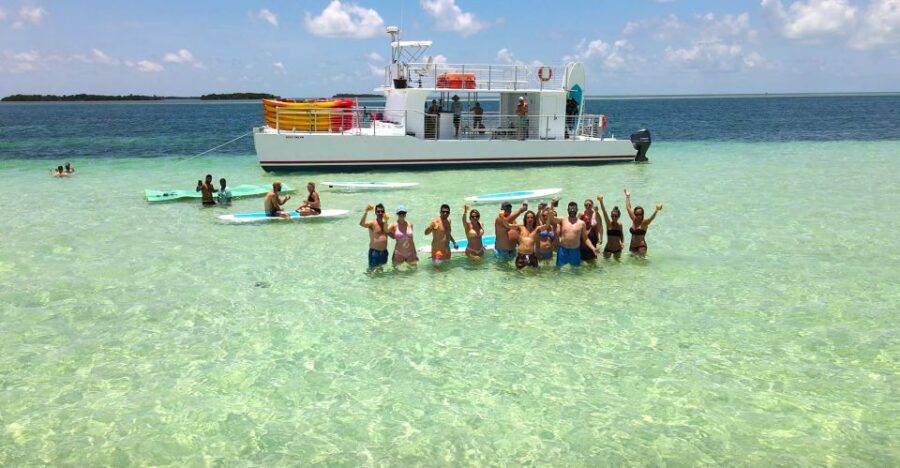 Key West: Sandbar Excursion & Kayak Tour with Lunch & Drinks - Mangrove Kayak Tour: Quiet Work, Great Views