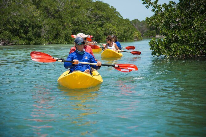 Key West Schooner Backcountry Eco Tour Sail Snorkel and Kayak - Kayaking Time: Easy Pace, Real Paddling, and Crew Support