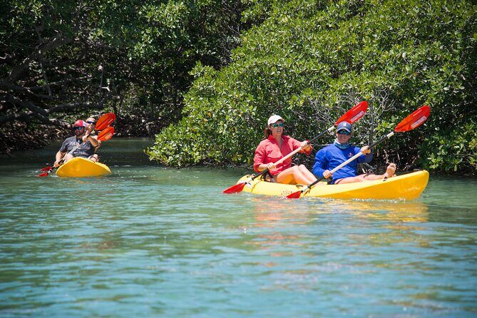 Key West Schooner Backcountry Eco Tour Sail Snorkel and Kayak - Snorkeling on the Reef Edge: Gear You Can Trust