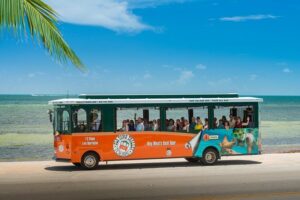 Key West Shore Excursion: Hop-On Hop-Off Trolley Tour - Getting Started Near the Cruise Port: How You’ll Actually Use This Tour