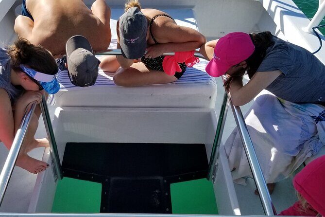 Key West: Snorkel, Sandbar & Dolphin Excursion - Dolphin Time: How the Crew Turns Spotting Into a Moment
