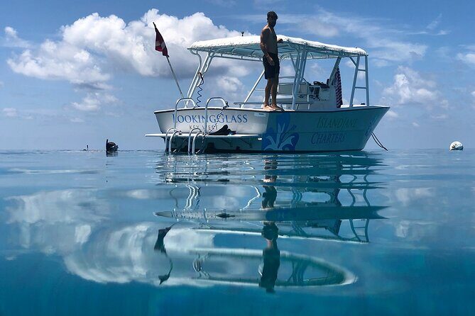 Key West: Snorkel, Sandbar & Dolphin Excursion - The Captain and Crew: More Than a Driver
