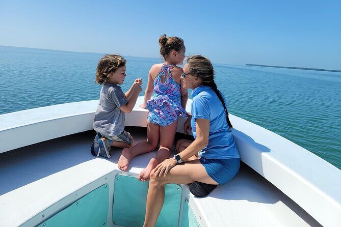 Key West: Snorkel, Sandbar & Dolphin Excursion - Price and Value: What $800 Per Group Gets You