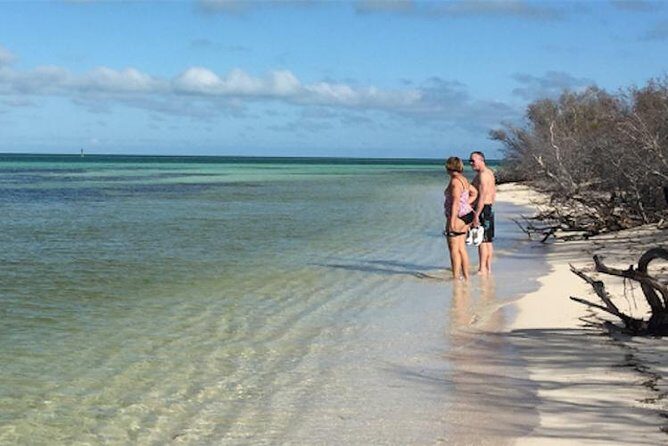 Key West: Snorkel, Sandbar & Dolphin Excursion - When to Book: Planning Ahead for Better Water Days