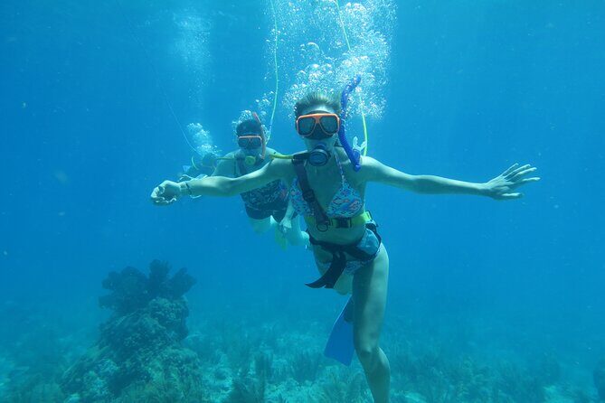 Key West SNUBA Experience - Meeting at Garrison Bight Marina: What the Start Feels Like