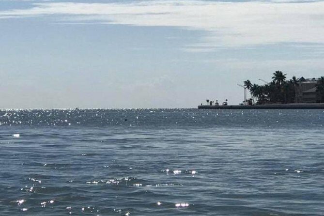 Key West Stand Up Paddleboard Rental - Key West Stand Up Paddleboard Rental: Quick Highlights