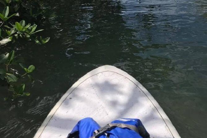 Key West Stand Up Paddleboard Rental - Why This Paddleboard Rental Feels Special in Key West