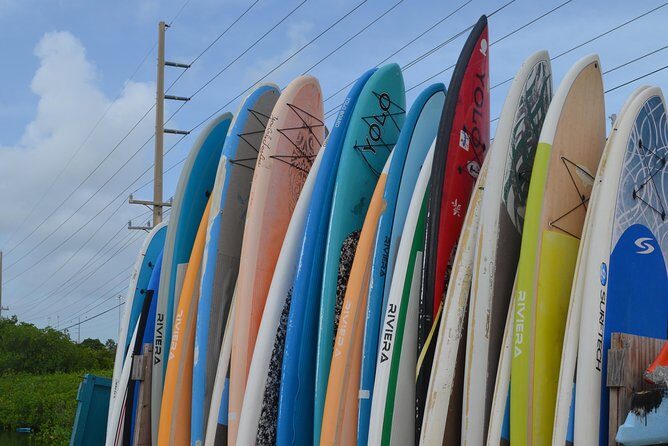Key West Stand Up Paddleboard Rental - Check-In: The Map Talk That Sets Up the Paddle