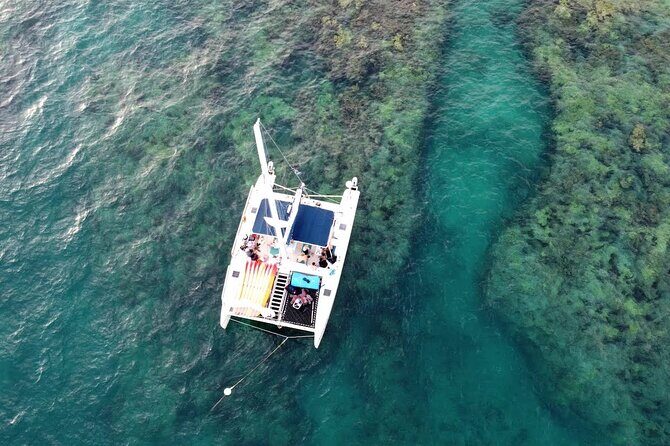 Key West: Sunset Sail + Reef Snorkel & Sandbar - The 42-foot Honest Eco catamaran: what the boat experience is actually like