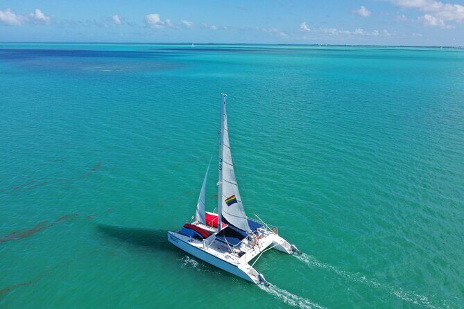 Key West: Sunset Sail + Reef Snorkel & Sandbar - Snorkeling on a remote sandbar: the part you’ll remember