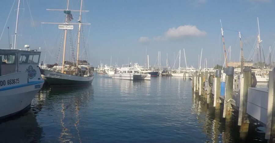 Key West Tour and Coral Reef Snorkeling with Open Bar - The Catamaran to Key West Coral Reef: Snorkeling Gear, Instructors, Showers, Drinks