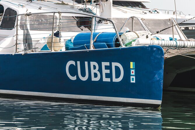 Key West's Favorite Afternoon Dolphin Sail - Key West Dolphin Sail: Quick Highlights Before You Book