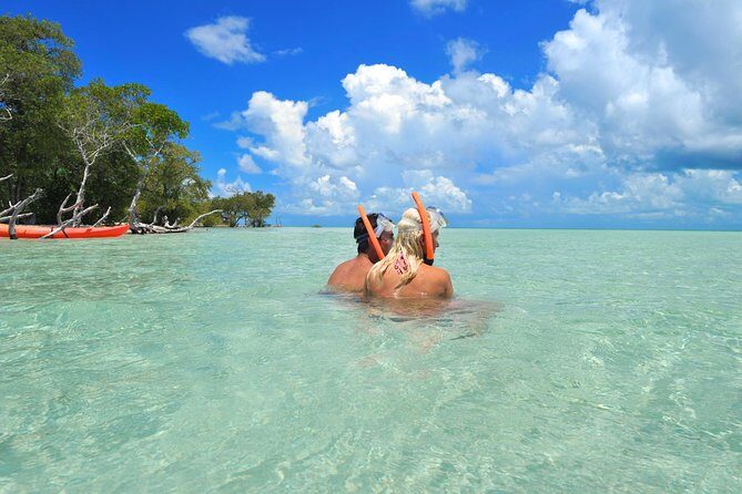 Key West's Island Adventure Sandbar Tour with Kayaking - Kayaking from Key West’s backcountry to a sandbar that locals know