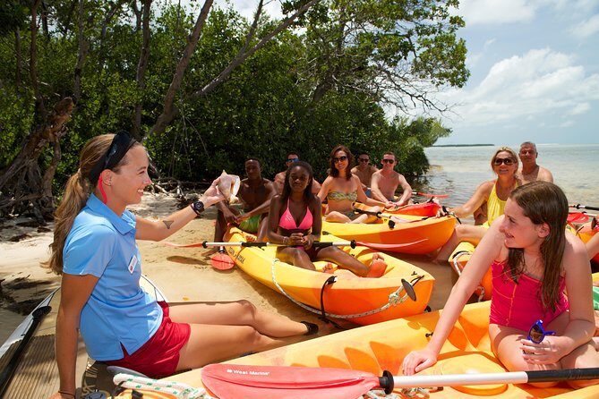 Key West's Island Adventure Sandbar Tour with Kayaking - Wildlife spotting without the pressure: dolphins, sea turtles, and more