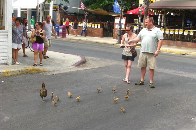Key West’s Old Town Treasures: A Self-Guided Audio Tour - Should you book this Key West audio tour?