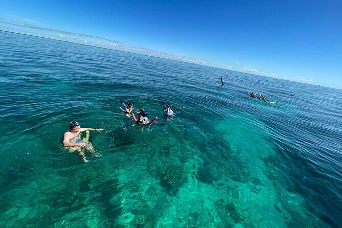 Marathon: COMBO- Snorkel & Sandbar (Coffins Patch Reef) - Who should book this snorkel-and-sandbar combo